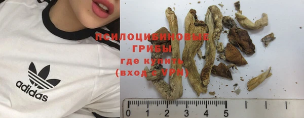ешки Аркадак