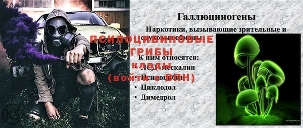 ешки Аркадак