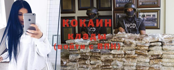 ешки Аркадак