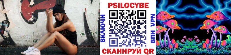Псилоцибиновые грибы Psilocybe  дарнет шоп  Чернушка 