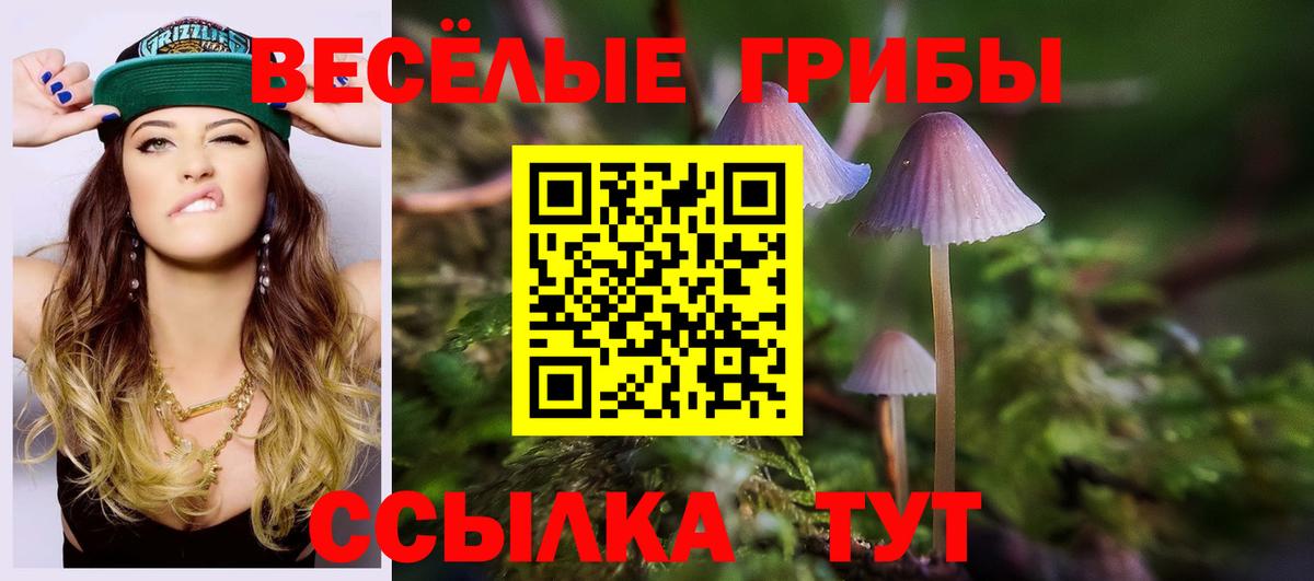 Псилоцибиновые грибы Cubensis  Вход с VPN  Чернушка 